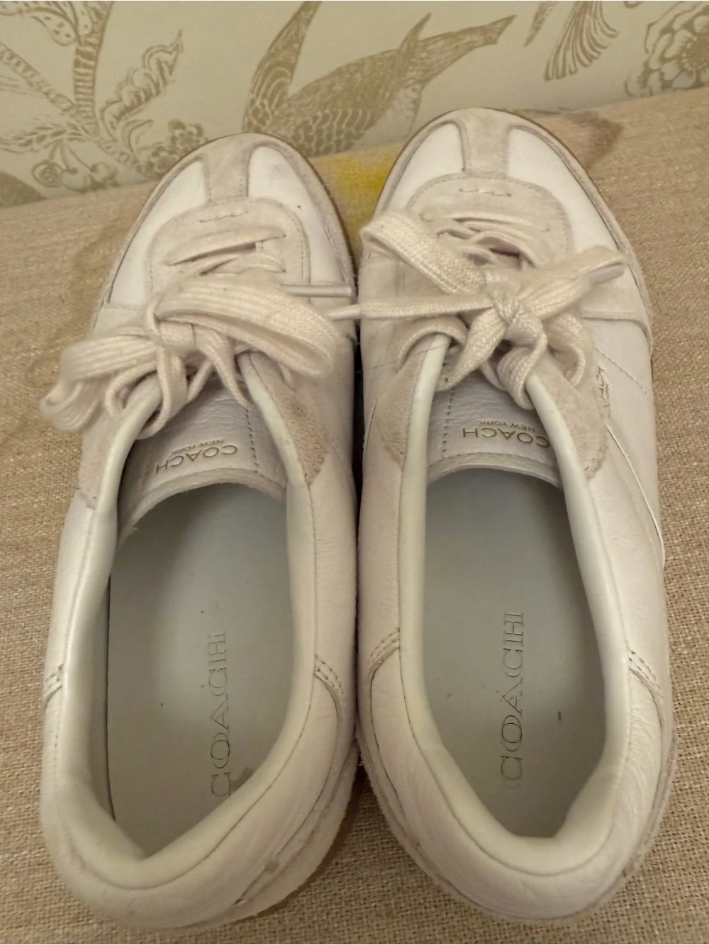 Coach low top